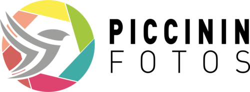 Logotipo de Letícia