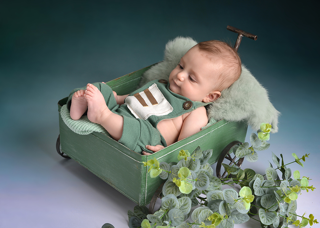 Acompanhamento Fabricio