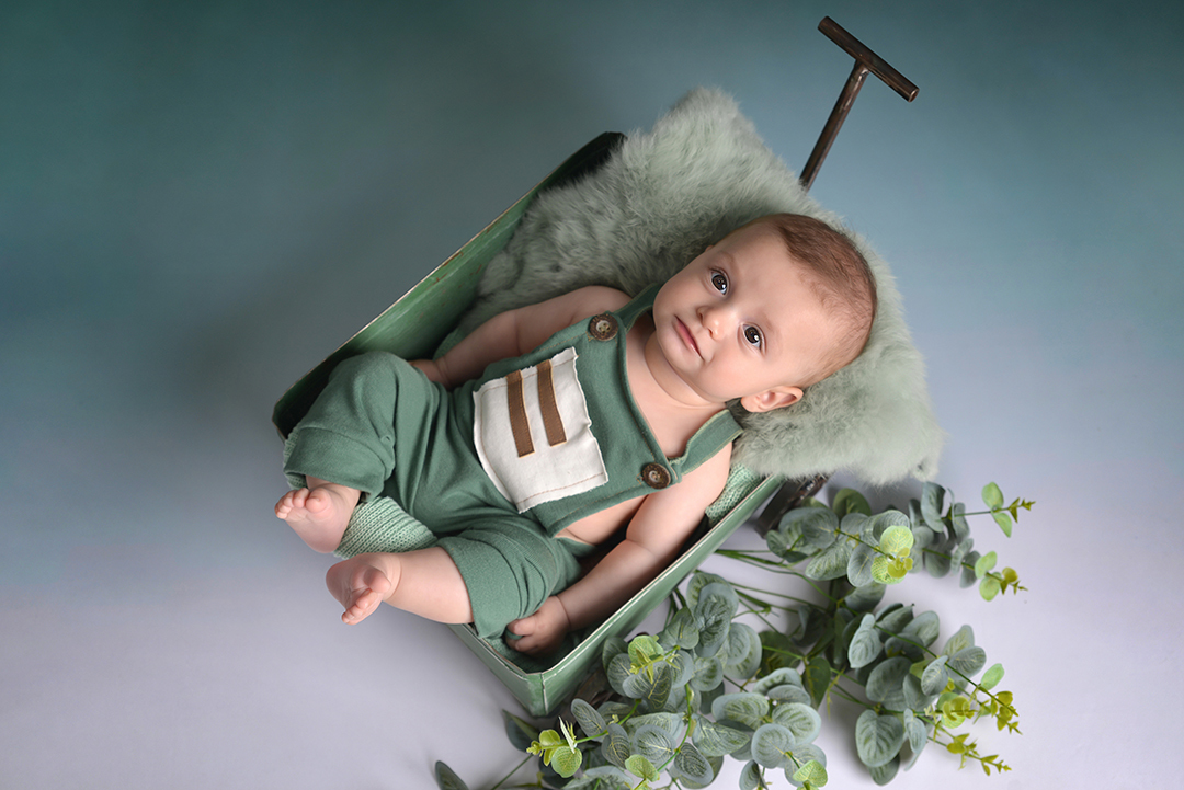 Acompanhamento Fabricio