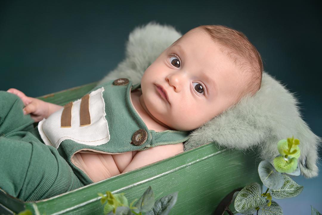 Acompanhamento Fabricio