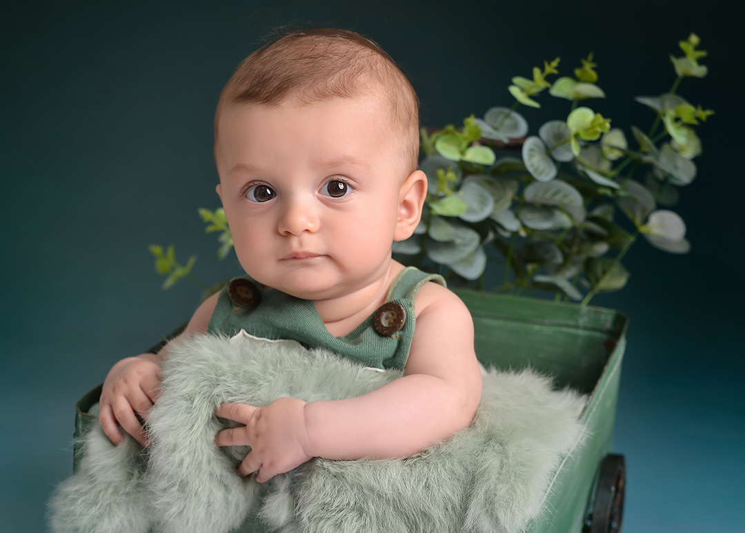 Acompanhamento Fabricio