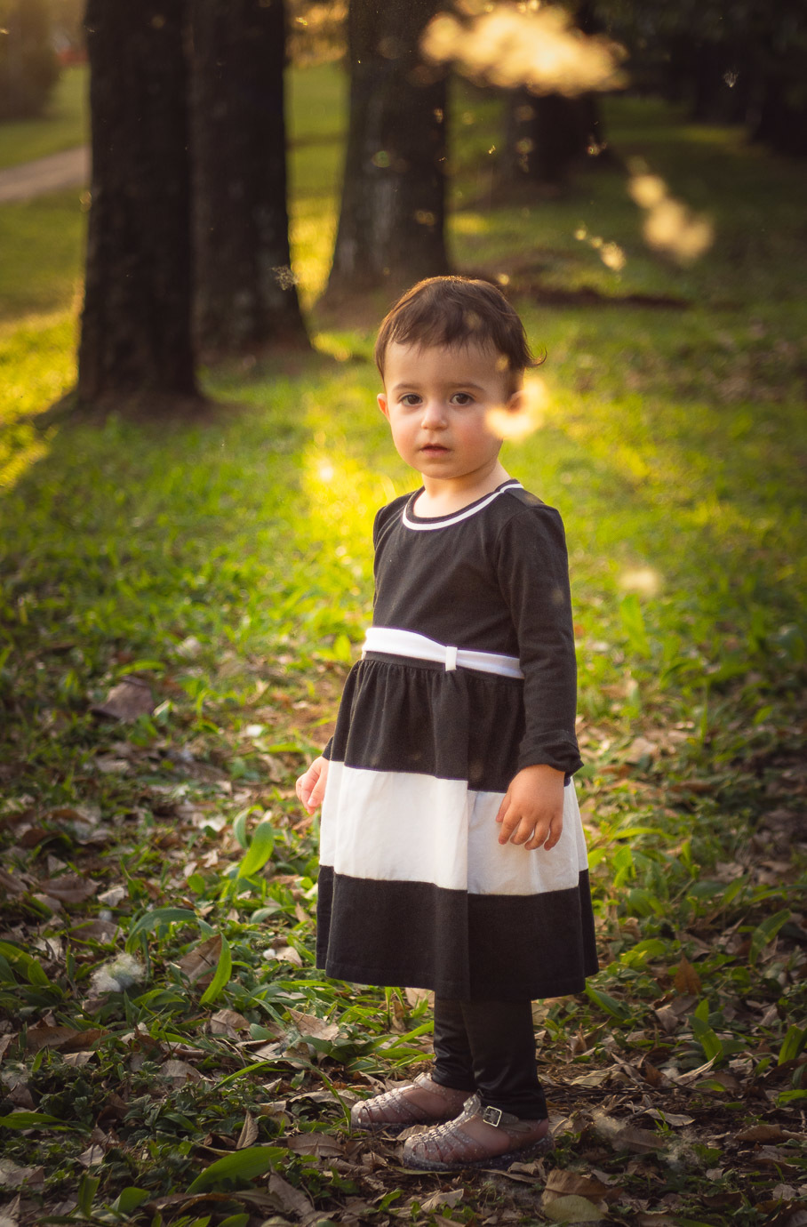 Essa painas voando ! 