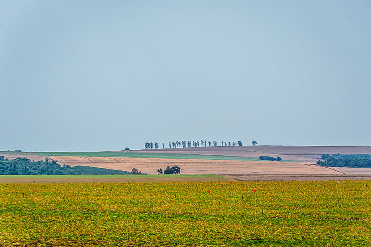 Arredores de Maringá