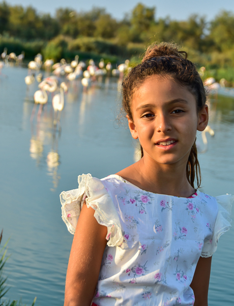 Lilou et les flamants roses