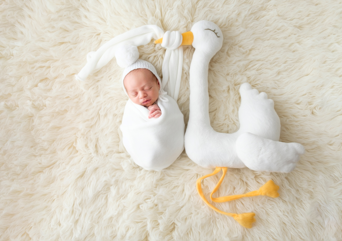 Ensaio newborn do menino com a cegonha