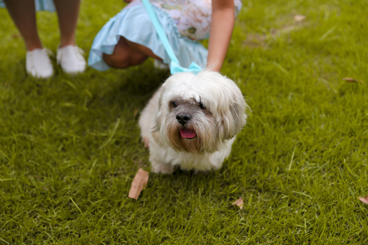 Casamento realizado na cidade de Carangola - MG espaço de festa Villa Pitanga