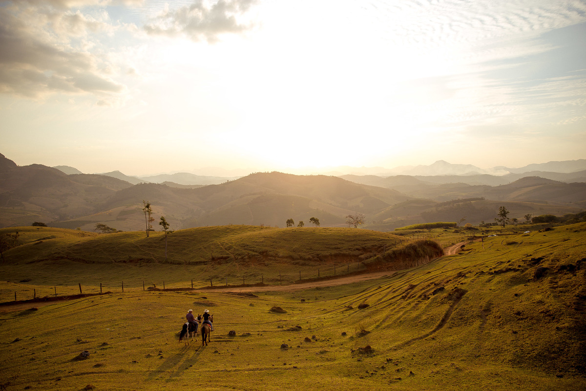Ensaio  de Casamento com cavalos e vida no campo