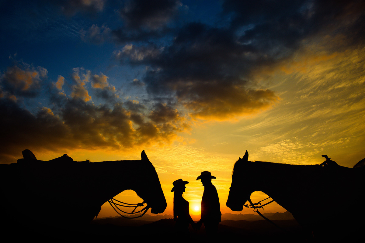 Ensaio  de Casamento com cavalos e vida no campo