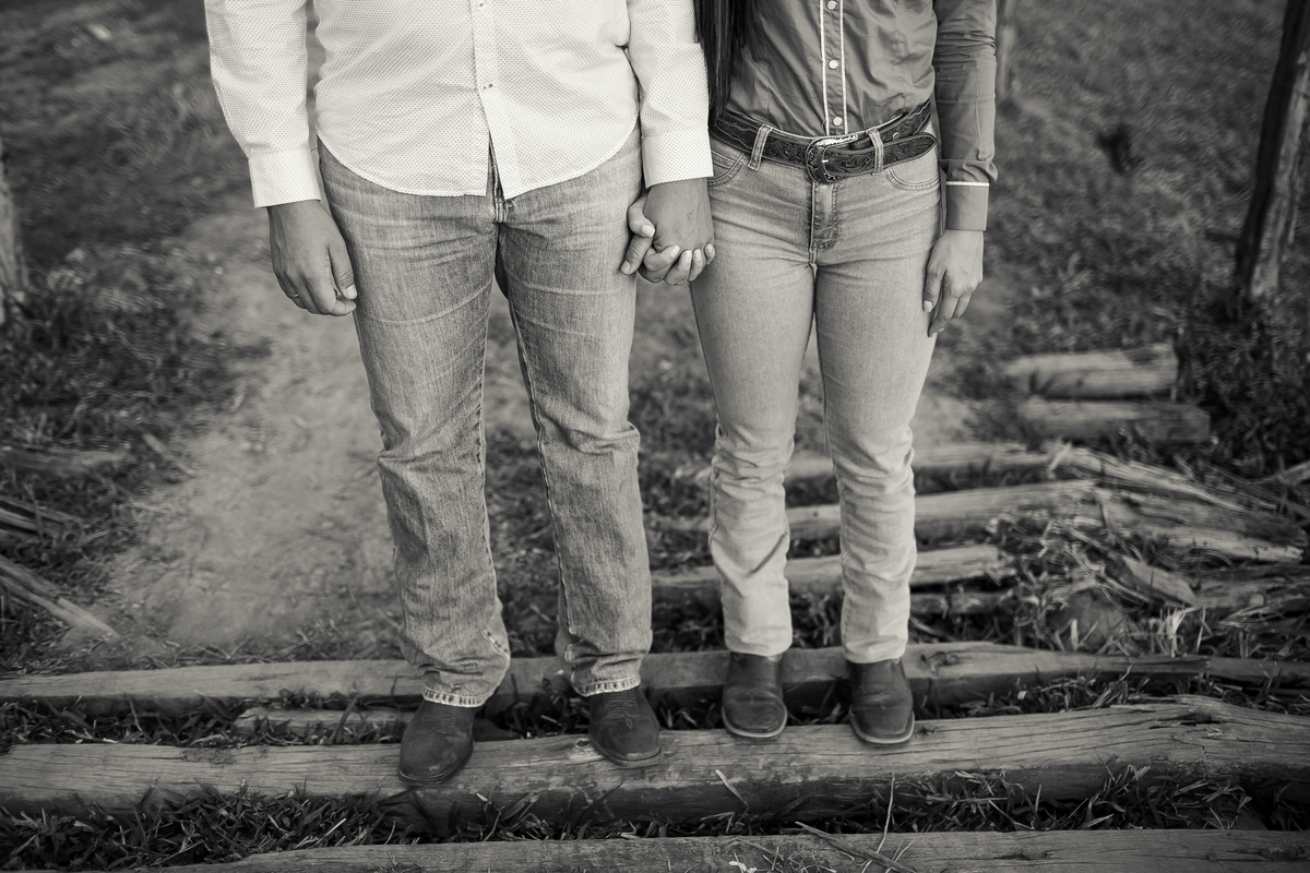 Ensaio  de Casamento com cavalos na cidade de Divino - MG