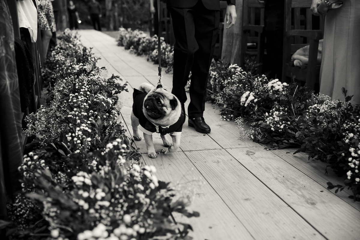casamento ao ar livre, casamento de dia, villa pitanga, alto Caparaó, região do café