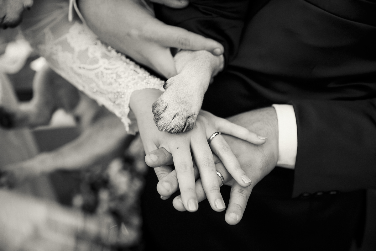 casamento ao ar livre, casamento de dia, villa pitanga, alto Caparaó, região do café