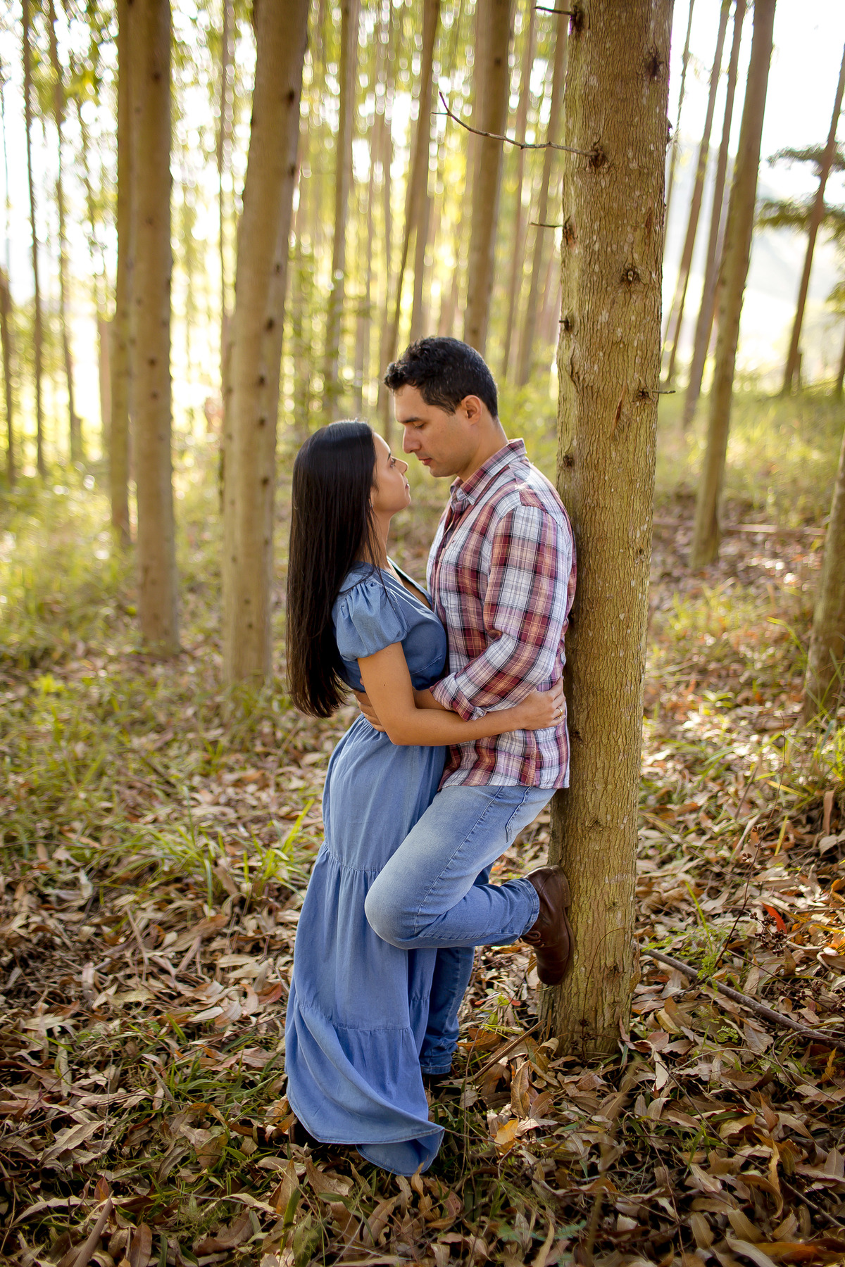 Ensaio fotográfico, pré casamento em São Francisco do Glória - fotos de casamento - Ensaio em Eucalipto, floresta de eucalipto, Patrícia e Caio
