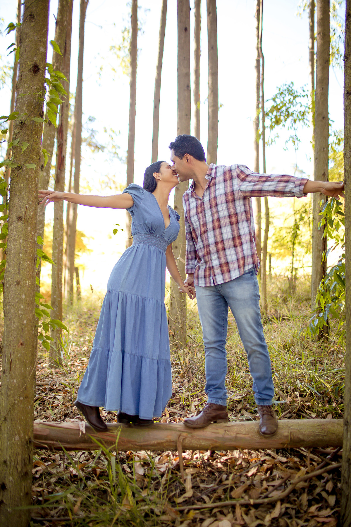Ensaio fotográfico, pré casamento em São Francisco do Glória -MG,  fotos de casamento - Ensaio em Eucalipto, floresta de eucalipto, Patrícia e Caio