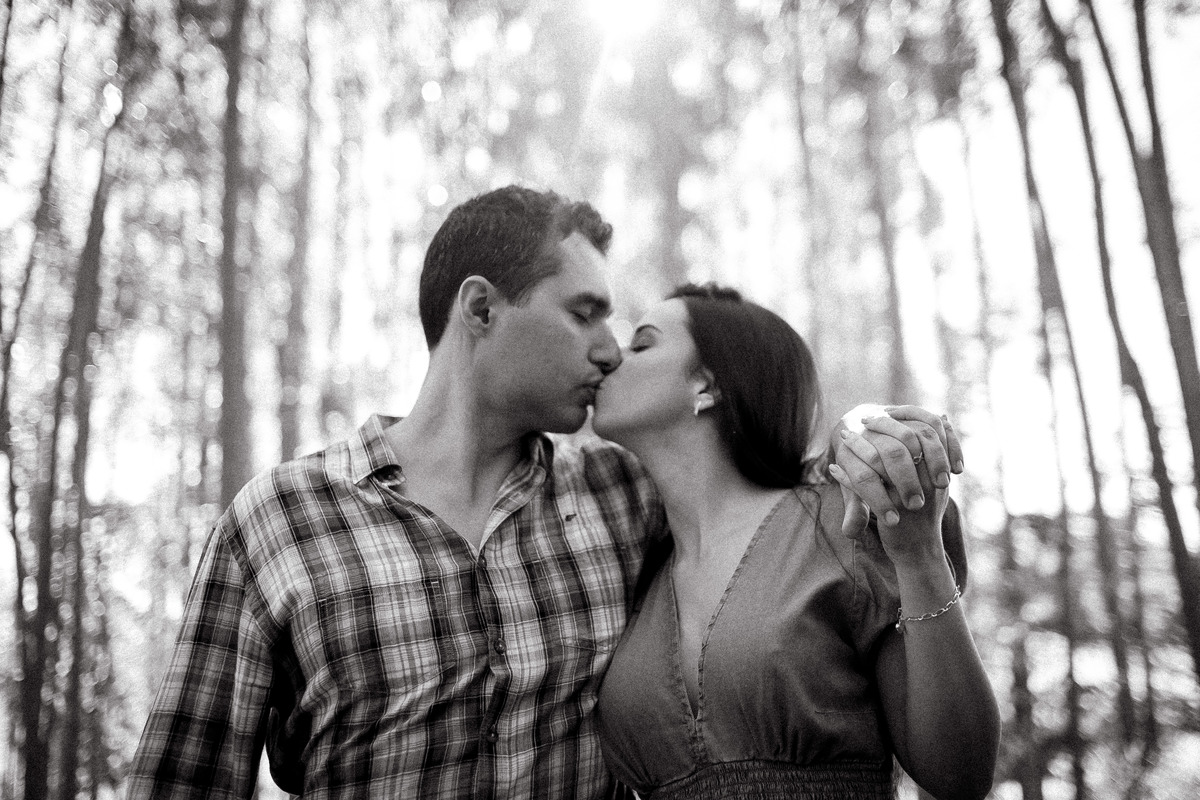 Ensaio fotográfico, pré casamento em São Francisco do Glória -MG,  fotos de casamento - Ensaio em Eucalipto, floresta de eucalipto, Patrícia e Caio