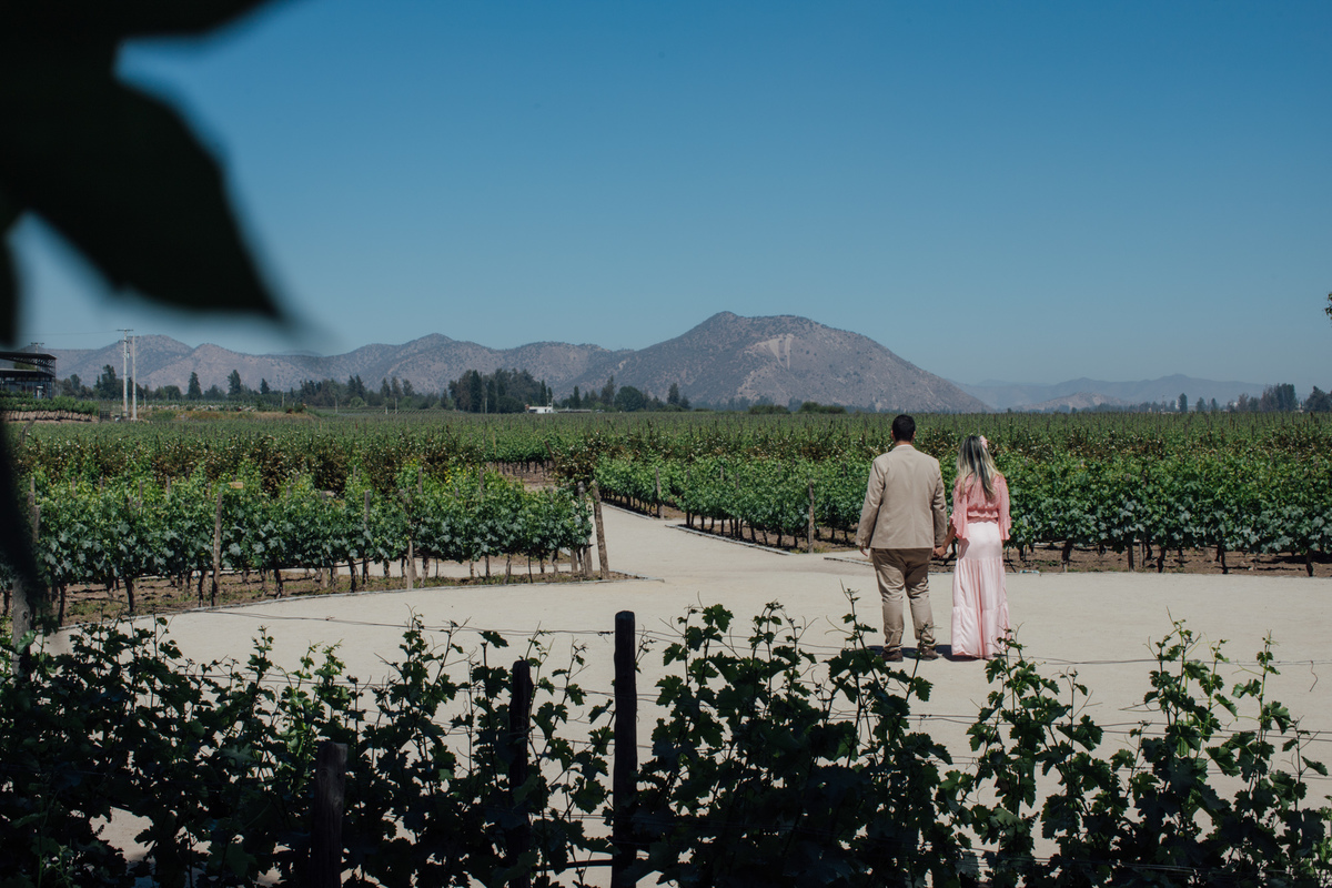 Vinícola Concha y Toro