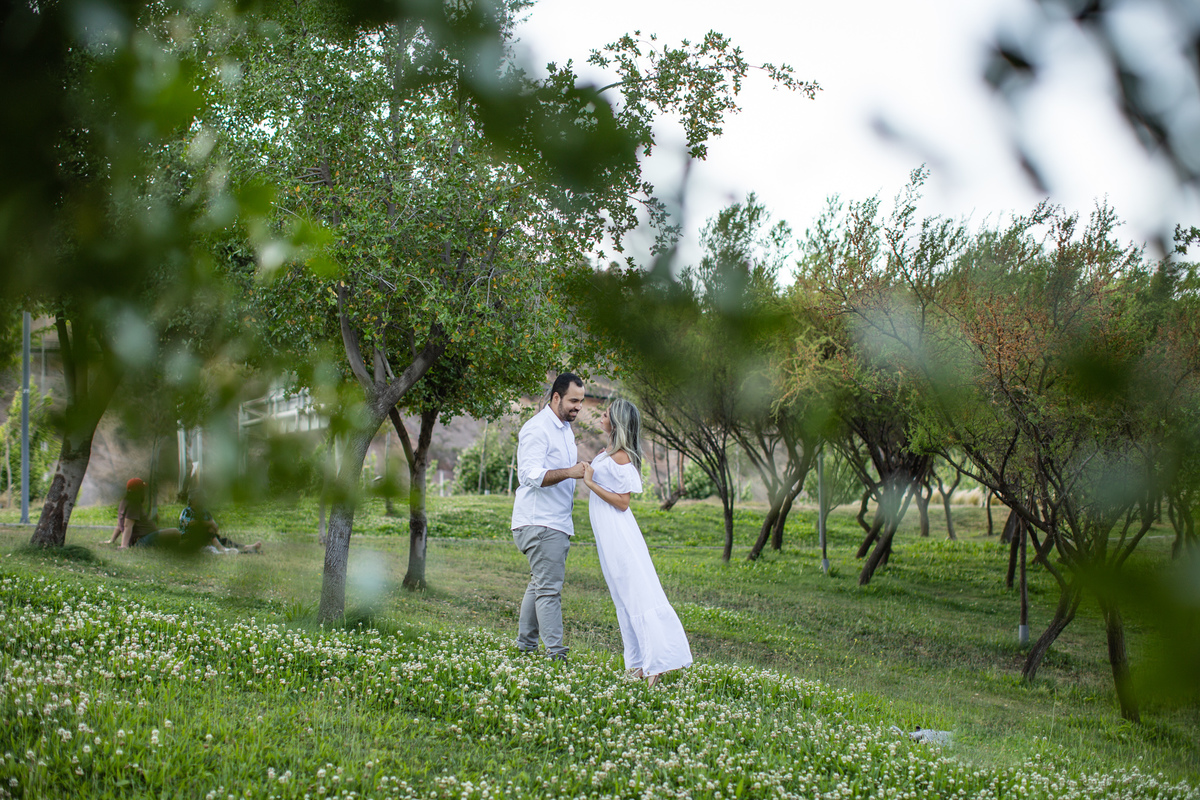 Parque Bicentenário de Santiago