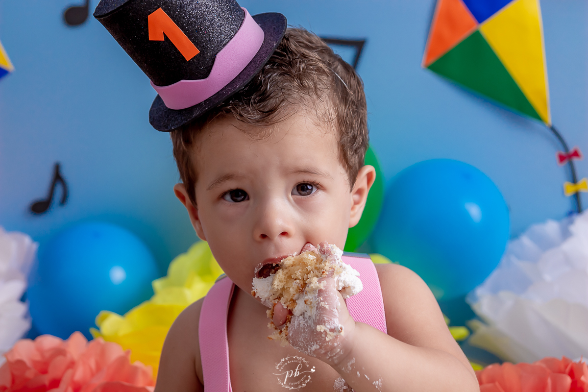 Smash the Cake Mundo Bita | Bita e os Animais | Ensaio Infantil Mundo Bita | Rio de Janeiro - RJ