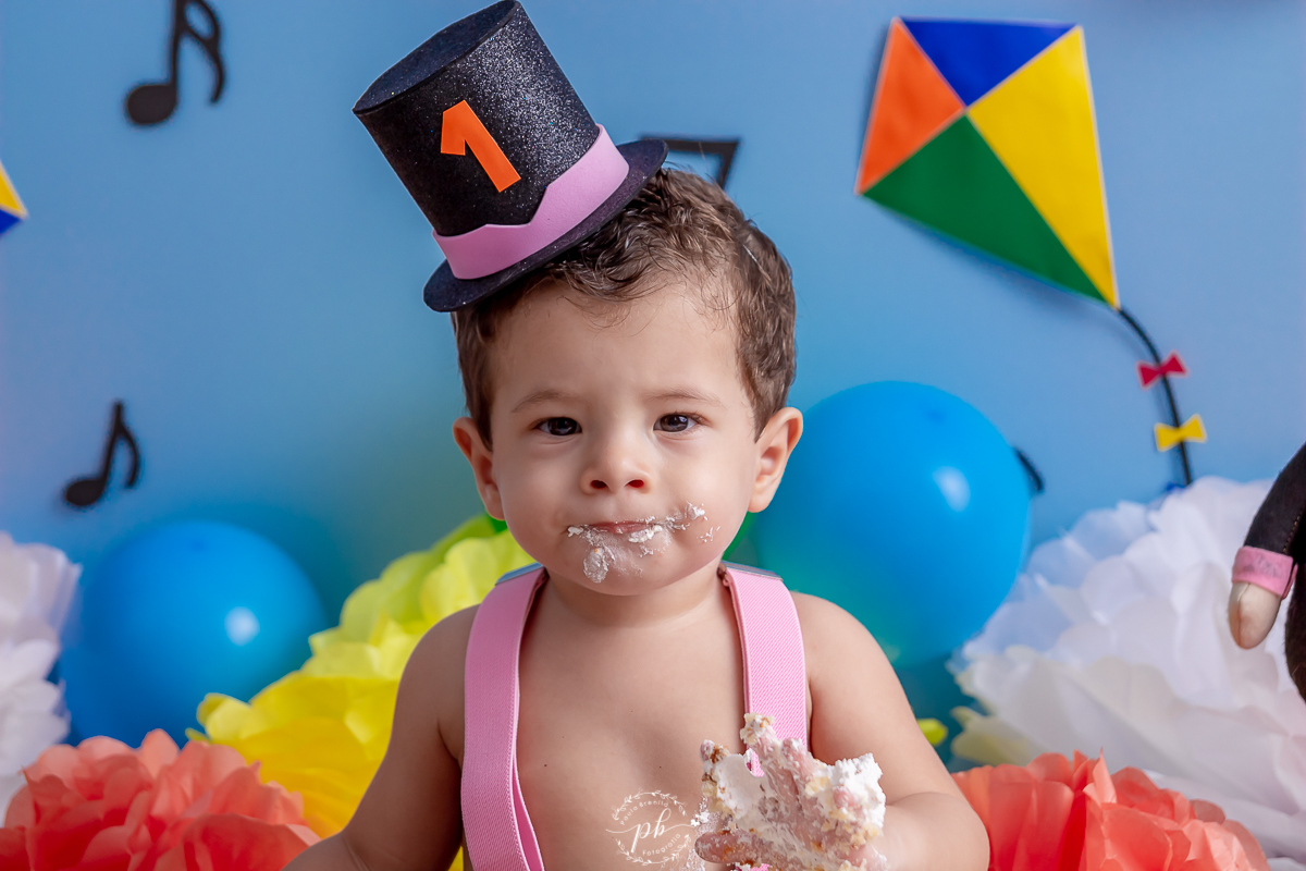 Smash the Cake Mundo Bita | Bita e os Animais | Ensaio Infantil Mundo Bita | Rio de Janeiro - RJ