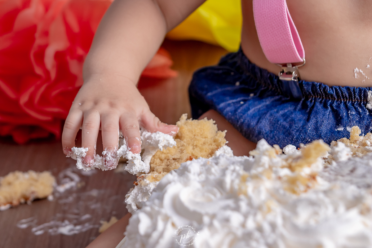 Smash the Cake Mundo Bita | Bita e os Animais | Ensaio Infantil Mundo Bita | Rio de Janeiro - RJ