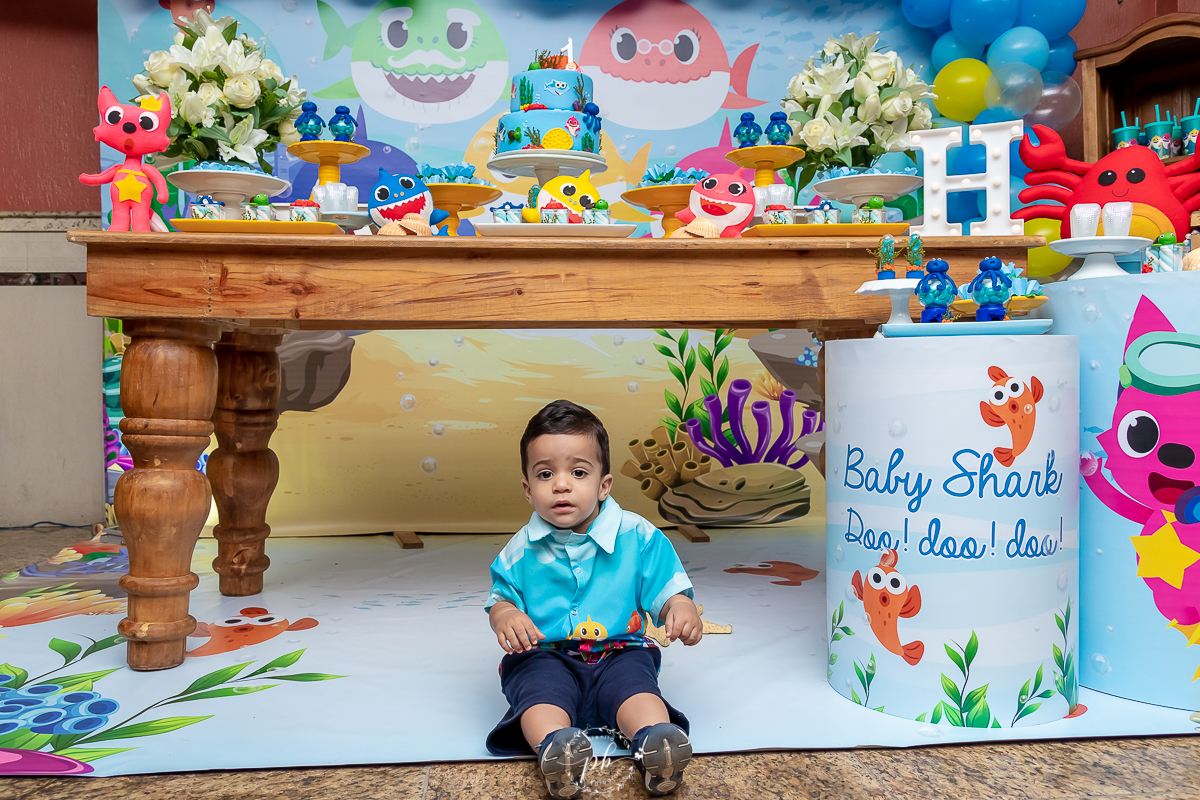 Decoração Baby Shark - Festa Infantil - Festa Baby Shark - Picanha do Delei - Nova Iguaçu - RJ