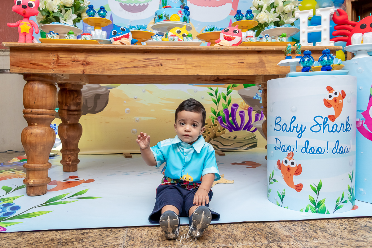 Decoração Baby Shark - Festa Infantil - Festa Baby Shark - Picanha do Delei - Nova Iguaçu - RJ