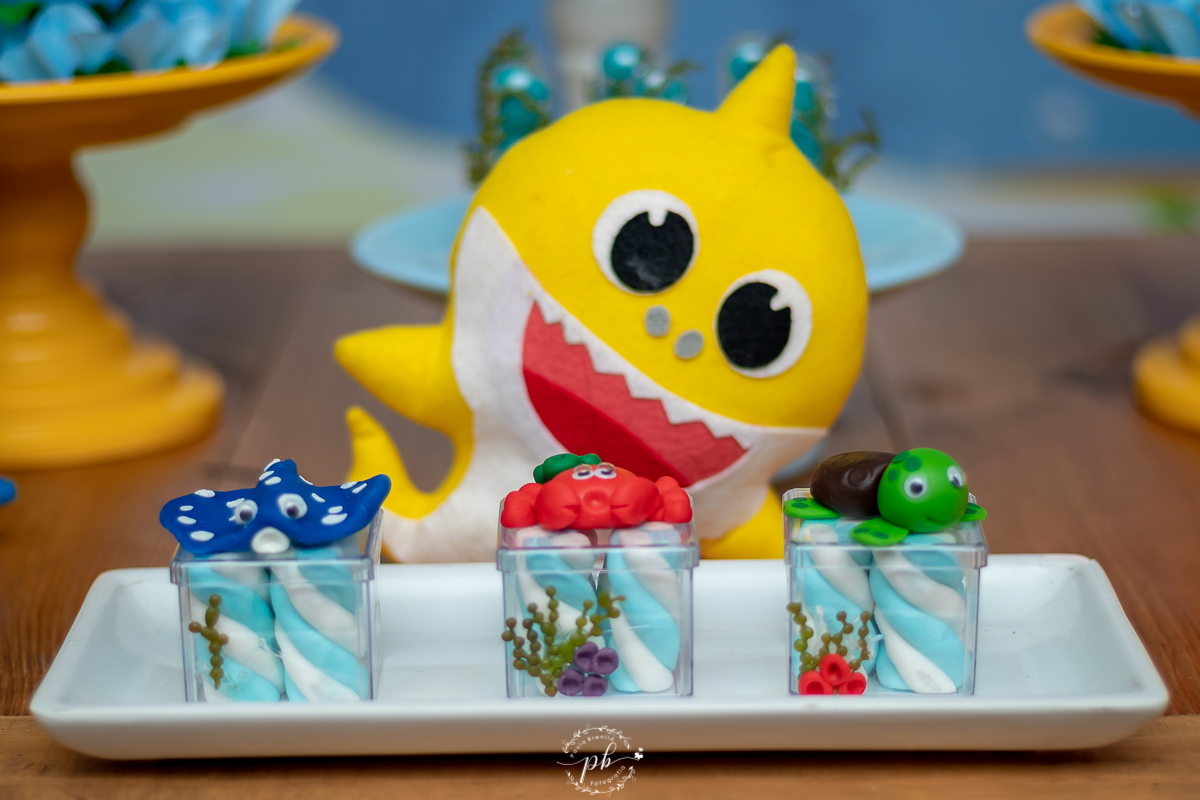 Decoração Baby Shark - Festa Infantil - Festa Baby Shark - Picanha do Delei - Nova Iguaçu - RJ
