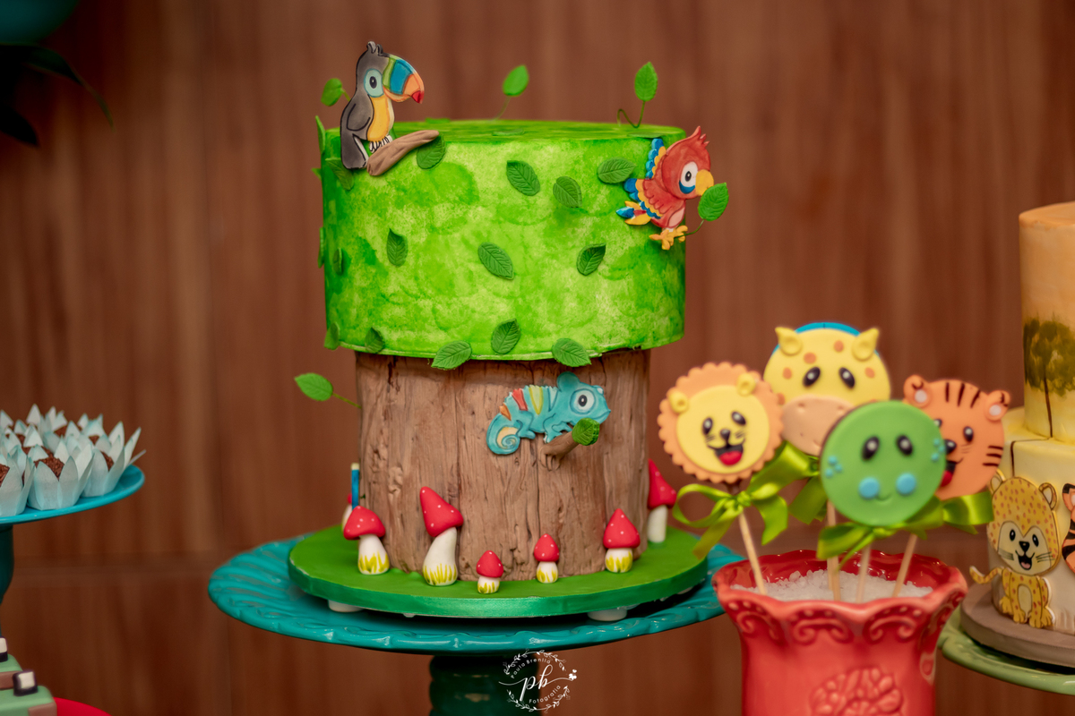 Decoração Tema Selva - Festa Infantil -  Safari - Laranjeiras - RJ - Foto de Familia - Festa Selva