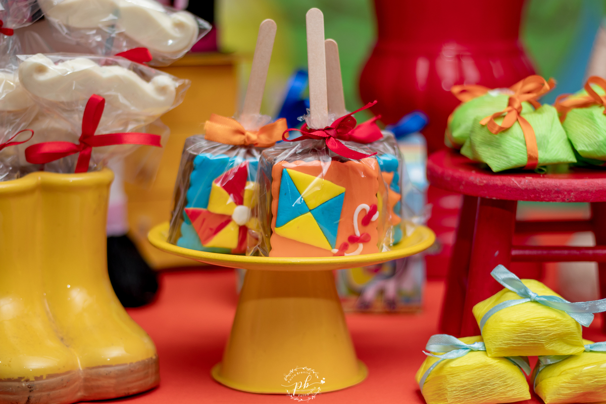 Decoração Mundo Bita - Espaço das Crianças Casa de Festas - Bento Ribeiro - Rio de Janeiro - Festa Infantil - Foto Família
