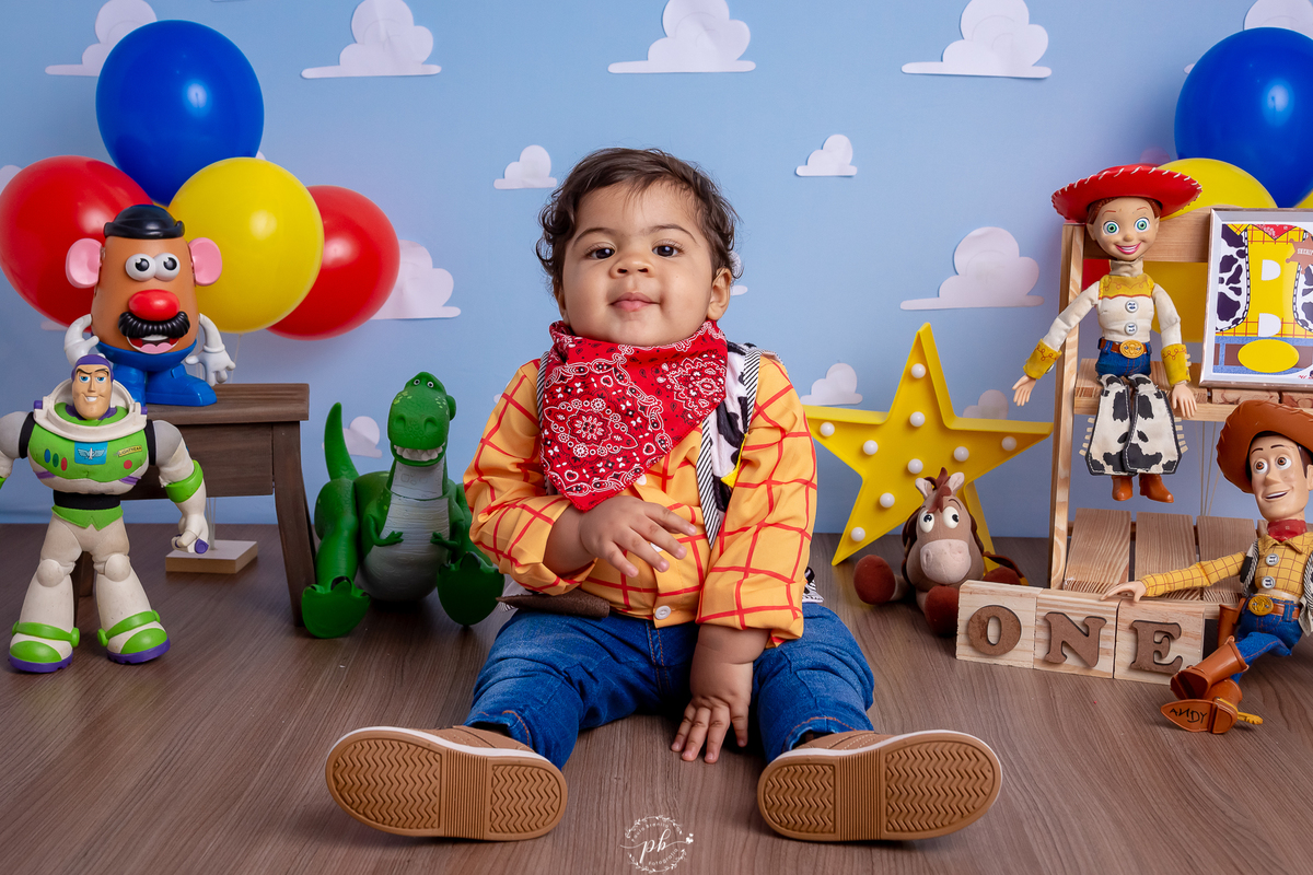 Pré-Festa - Toy Story - Wood - Disney - um aninho - fotografia infantil - ensaio - Rio de Janeiro