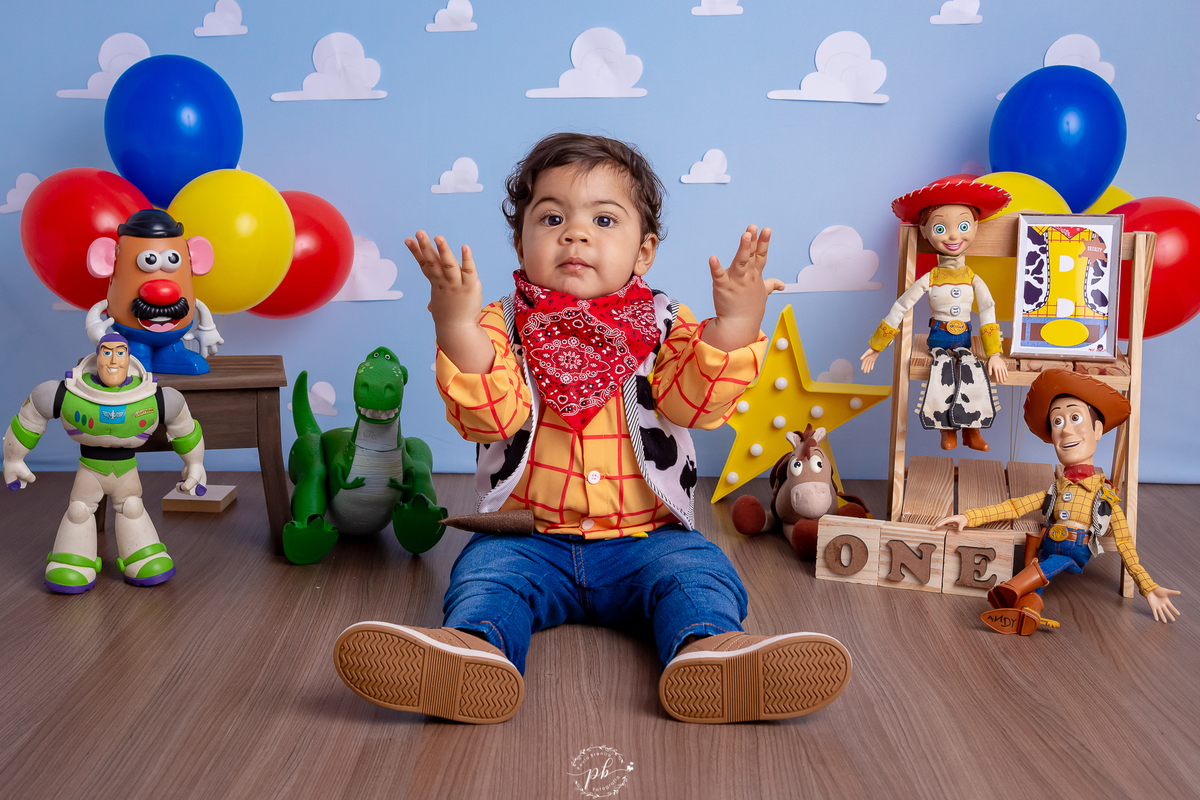 Pré-Festa - Toy Story - Wood - Disney - um aninho - fotografia infantil - ensaio - Rio de Janeiro