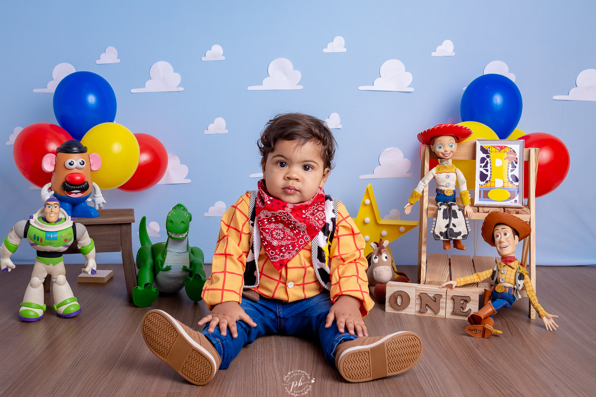 Pré-Festa - Toy Story - Wood - Disney - um aninho - fotografia infantil - ensaio - Rio de Janeiro