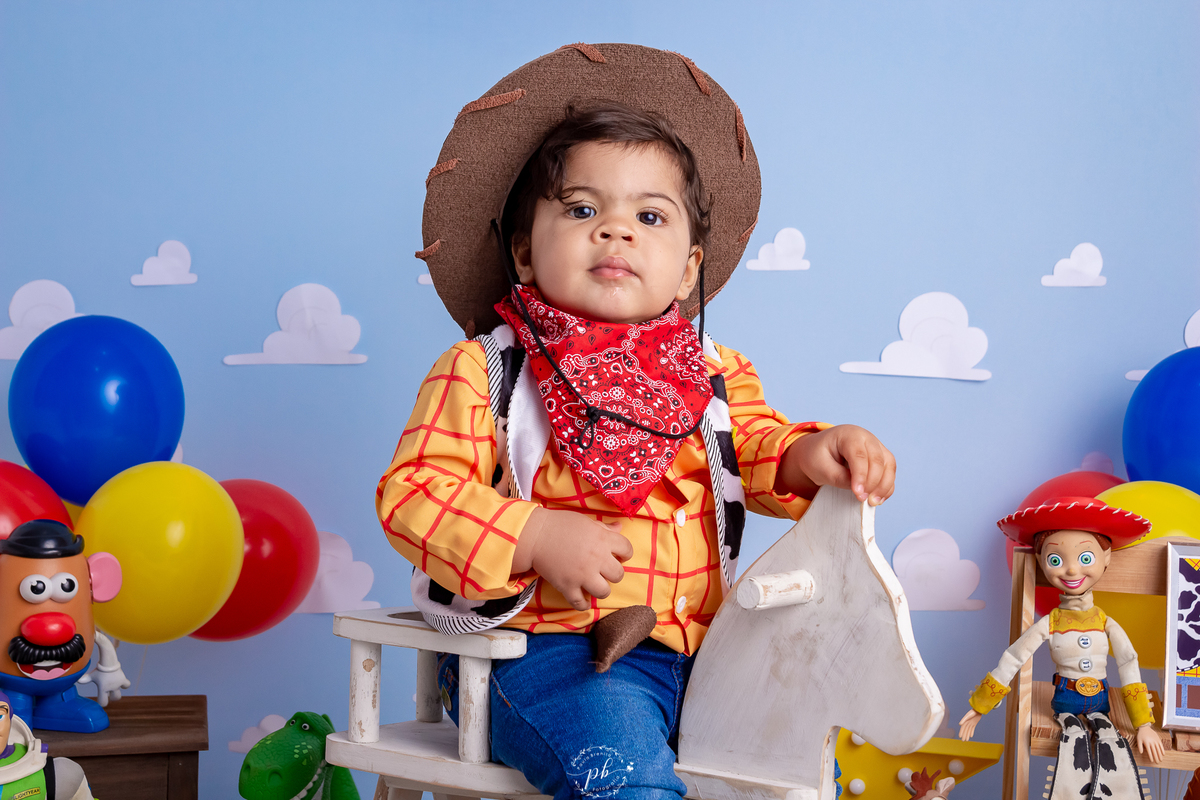 Pré-Festa - Toy Story - Wood - Disney - um aninho - fotografia infantil - ensaio - Rio de Janeiro