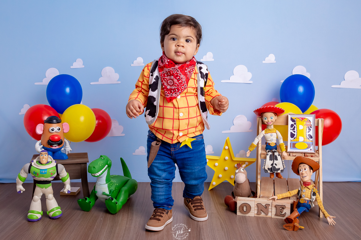 Pré-Festa - Toy Story - Wood - Disney - um aninho - fotografia infantil - ensaio - Rio de Janeiro