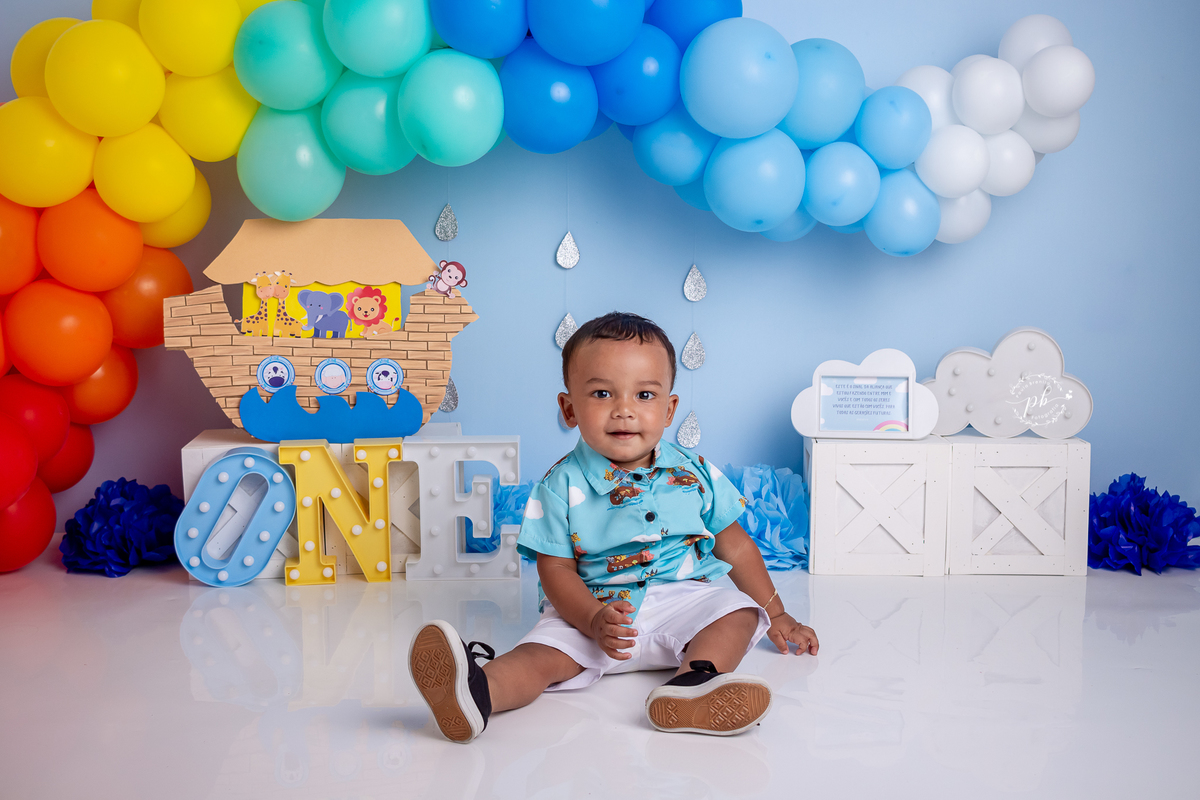 Arca de Noé - smash the cake - pré festa - ensaio infantil - Rio de Janeiro - RJ