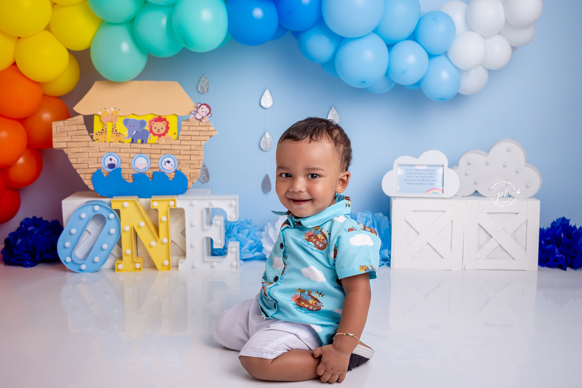 Arca de Noé - smash the cake - pré festa - ensaio infantil - Rio de Janeiro - RJ