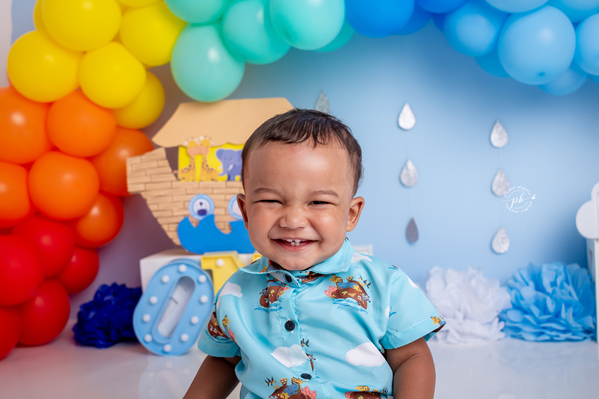 Arca de Noé - smash the cake - pré festa - ensaio infantil - Rio de Janeiro - RJ