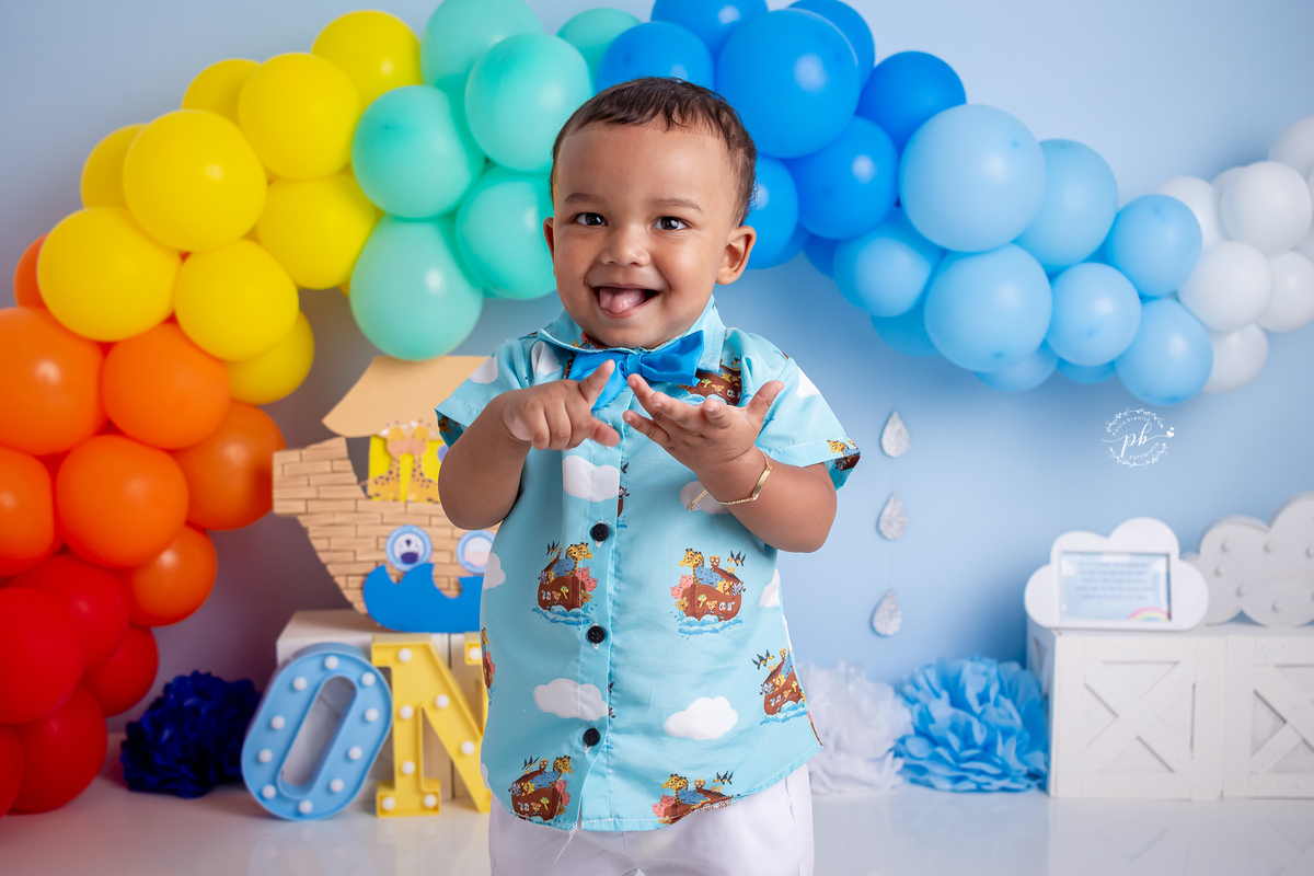Arca de Noé - smash the cake - pré festa - ensaio infantil - Rio de Janeiro - RJ