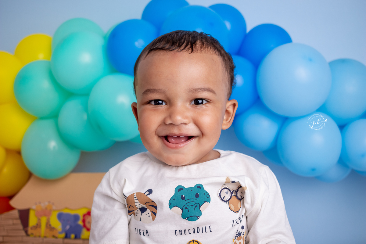 Arca de Noé - smash the cake - pré festa - ensaio infantil - Rio de Janeiro - RJ