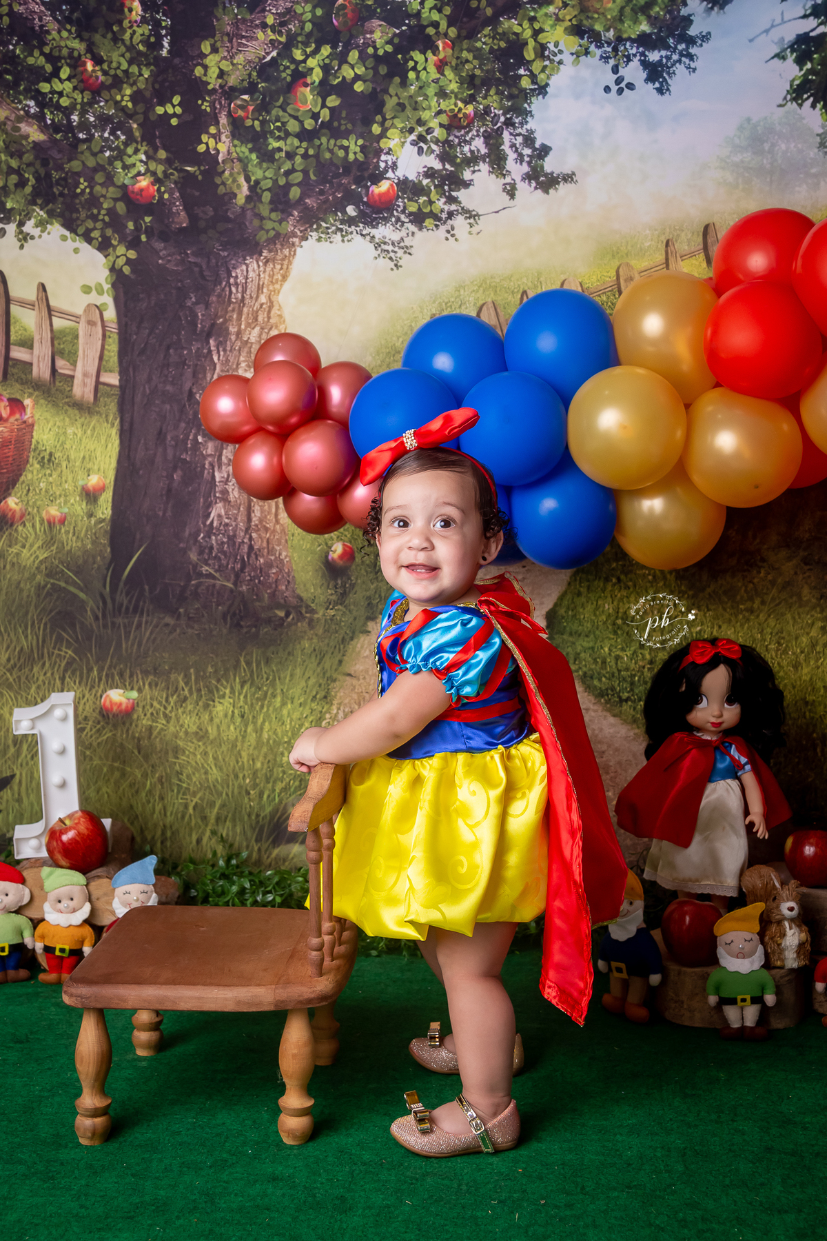 Ensaio Infantil Branca de Neve - Branca de Neve e os Sete Anões - Branca de Neve - Rio de Janeiro - RJ