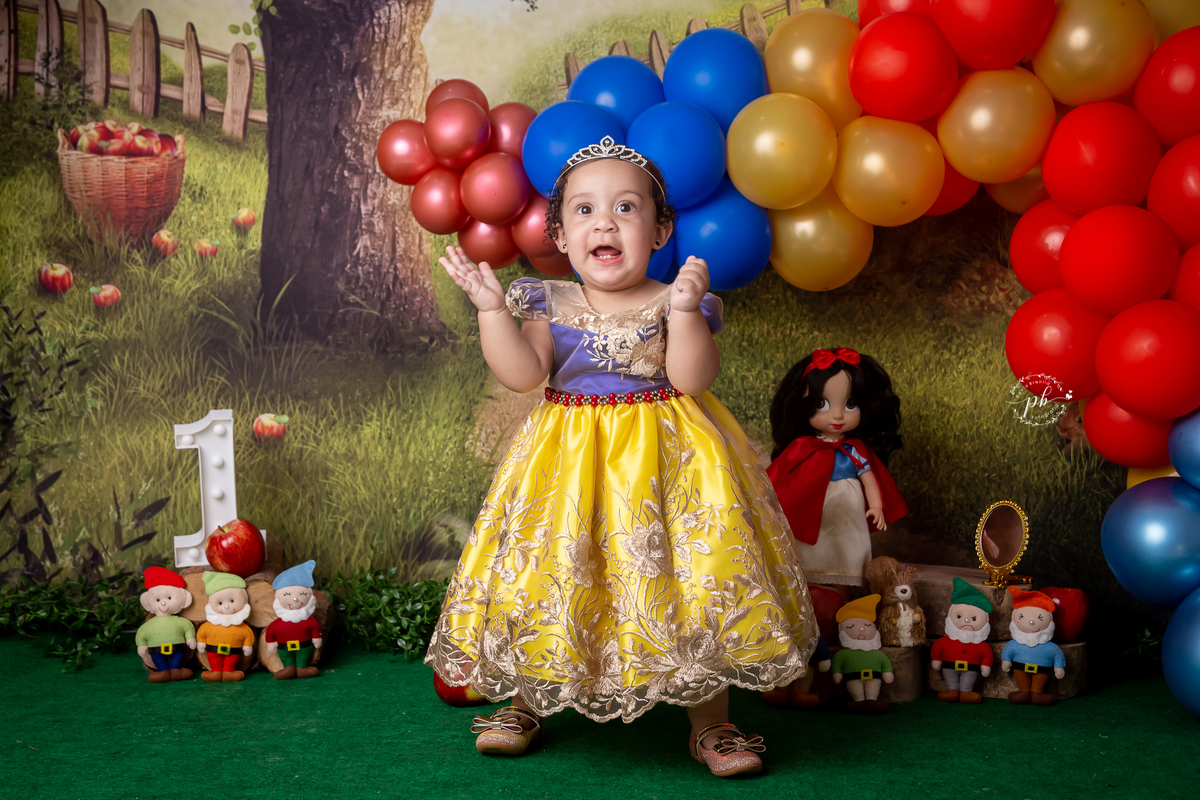 Ensaio Infantil Branca de Neve - Branca de Neve e os Sete Anões - Branca de Neve - Rio de Janeiro - RJ