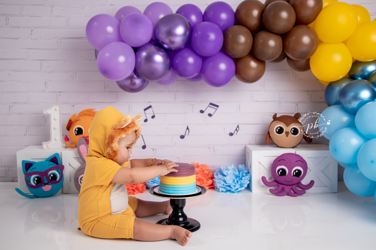 Ensaio Infantil Bolofofos - Bolofofos - Smash The Cake - Rio de Janeiro - RJ