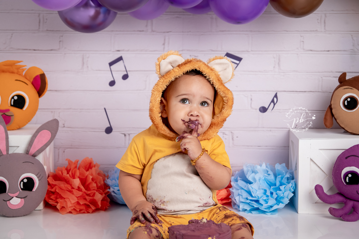 Ensaio Infantil Bolofofos - Bolofofos - Smash The Cake - Rio de Janeiro - RJ