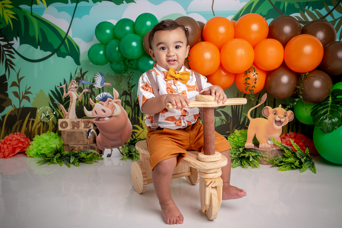 O Rei Leão - Simba - Disney - smash the cake - pré festa - ensaio infantil - Rio de Janeiro - RJ