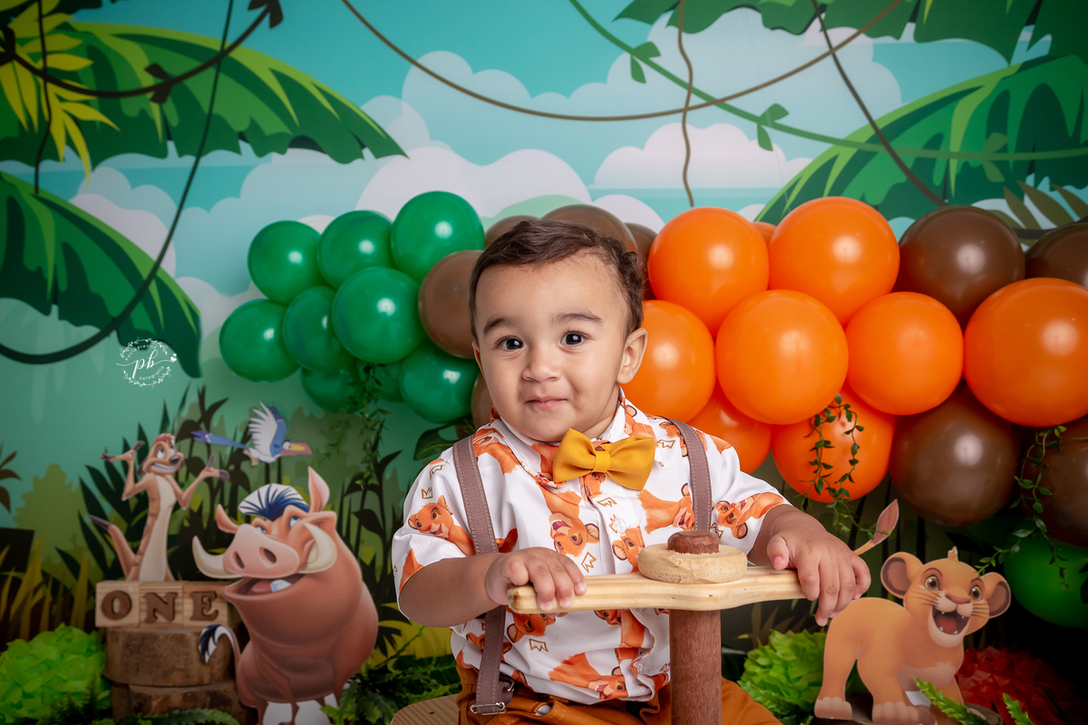 O Rei Leão - Simba - Disney - smash the cake - pré festa - ensaio infantil - Rio de Janeiro - RJ