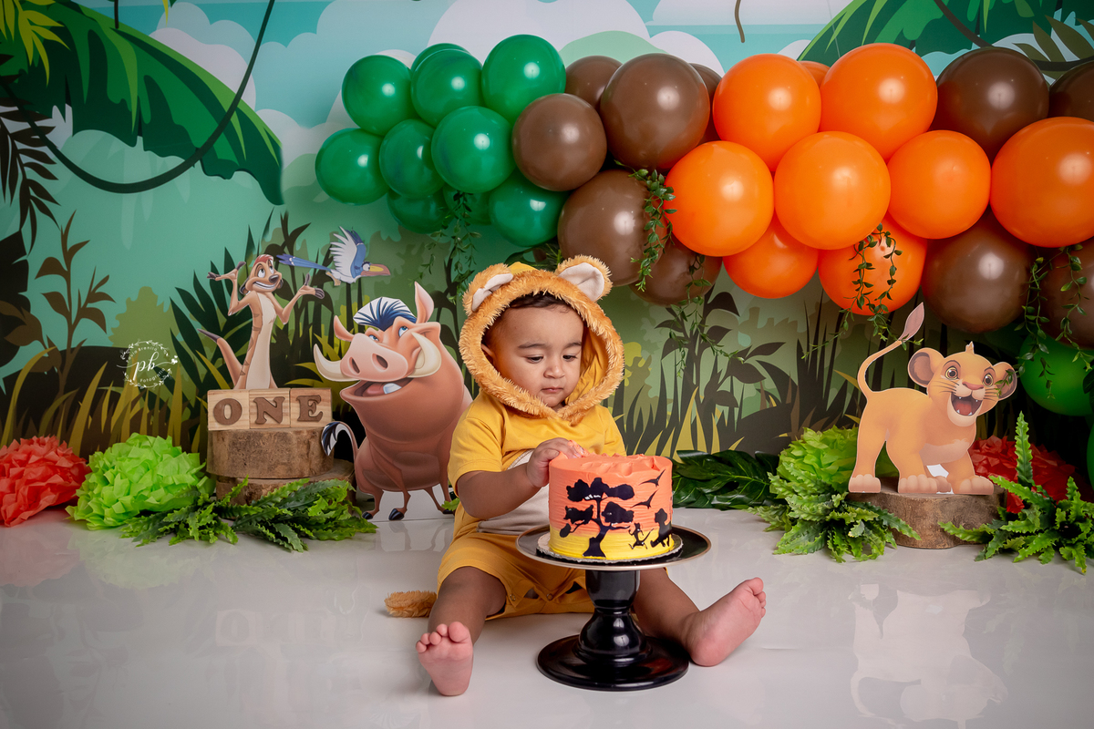 O Rei Leão - Simba - Disney - smash the cake - pré festa - ensaio infantil - Rio de Janeiro - RJ