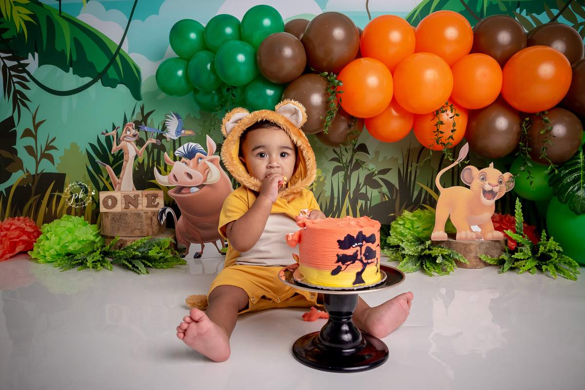 O Rei Leão - Simba - Disney - smash the cake - pré festa - ensaio infantil - Rio de Janeiro - RJ