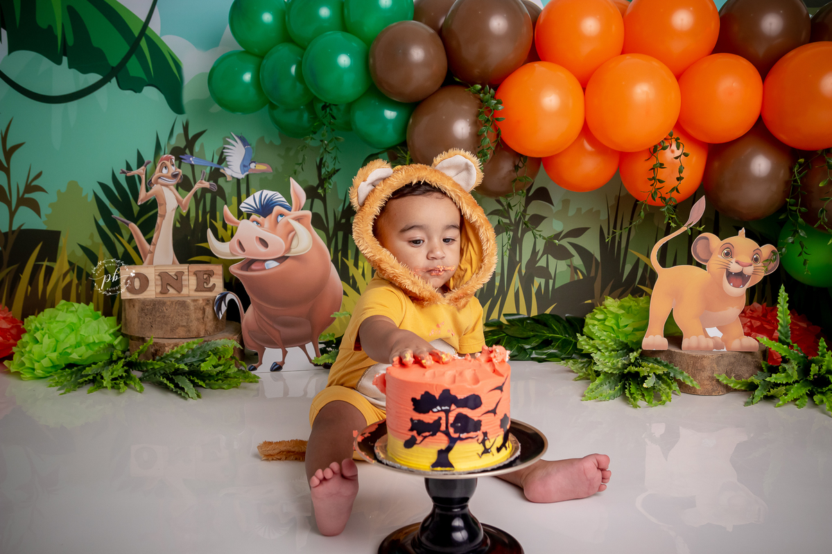 O Rei Leão - Simba - Disney - smash the cake - pré festa - ensaio infantil - Rio de Janeiro - RJ