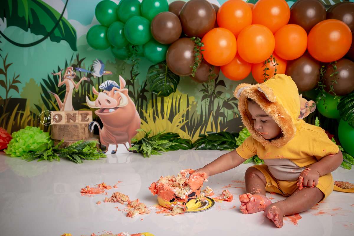 O Rei Leão - Simba - Disney - smash the cake - pré festa - ensaio infantil - Rio de Janeiro - RJ
