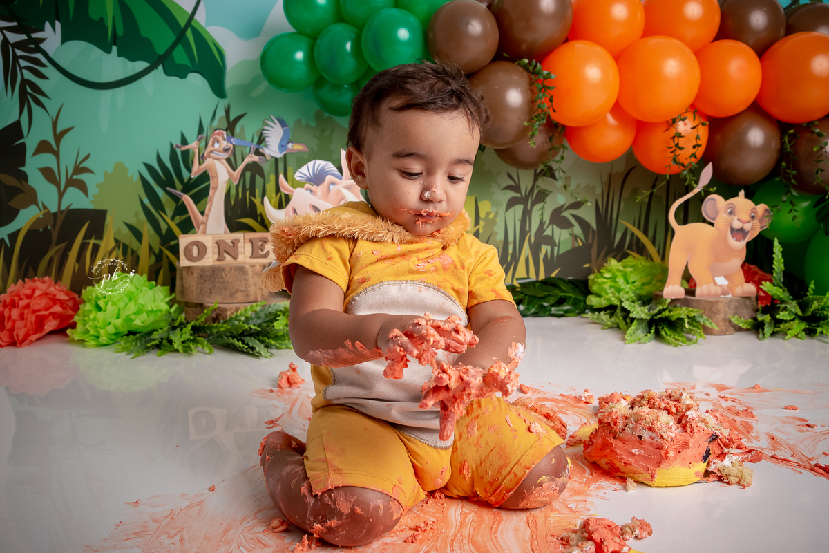 O Rei Leão - Simba - Disney - smash the cake - pré festa - ensaio infantil - Rio de Janeiro - RJ