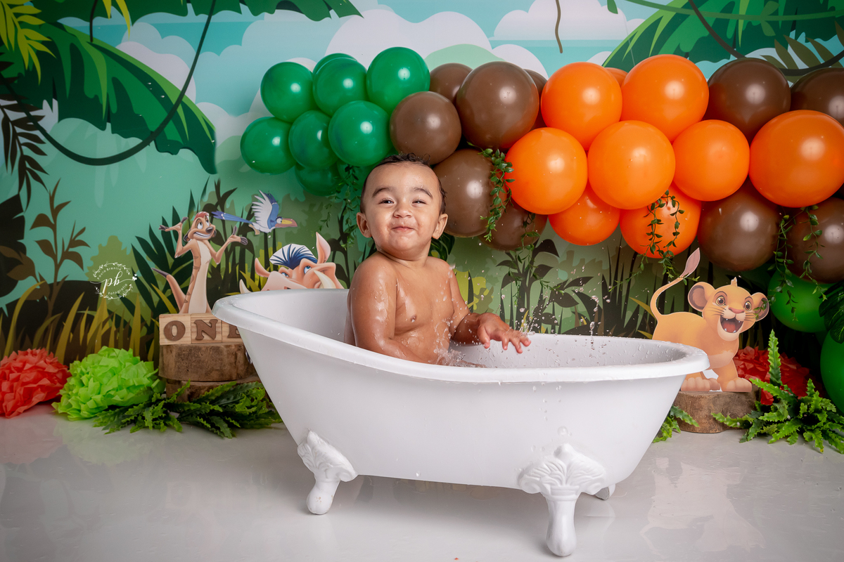 O Rei Leão - Simba - Disney - smash the cake - pré festa - ensaio infantil - Rio de Janeiro - RJ